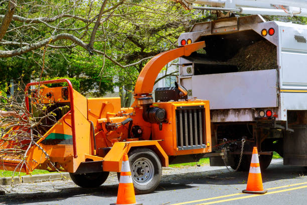 Best Tree Risk Assessment  in Terre Du Lac, MO